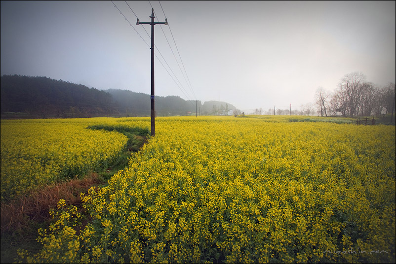 The road 摄影 辛宗秀