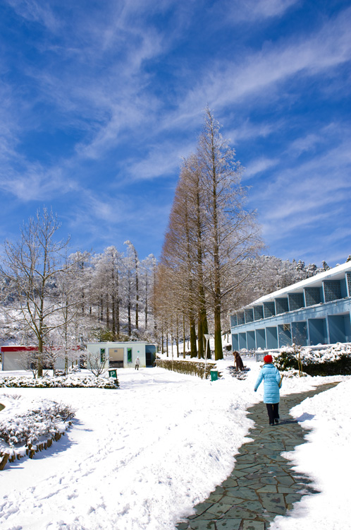 四明春雪 摄影 紫竹常绿