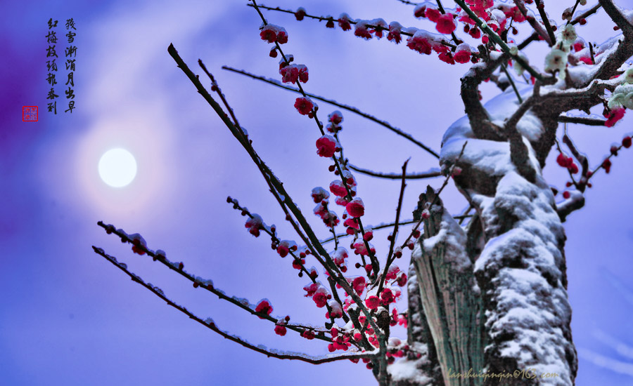 《雪夜赏梅图》 摄影 岚水清清