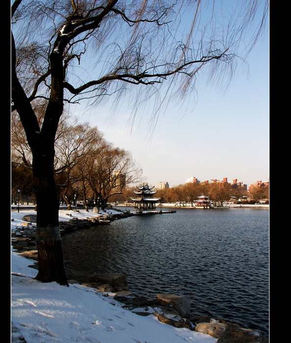 春雪画陶然-2 摄影 初级班