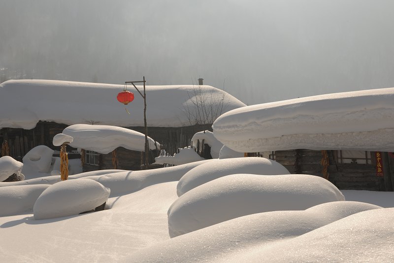 黑龙江雪乡 摄影 无欲则刚