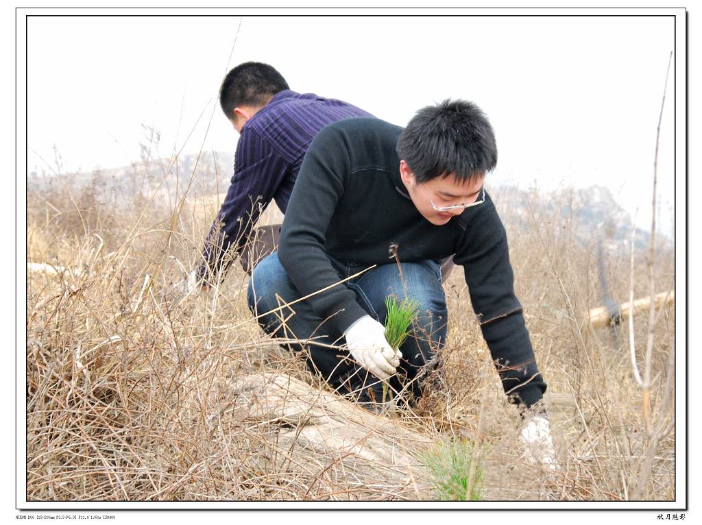 前人植树，造福后代 摄影 秋月魅影