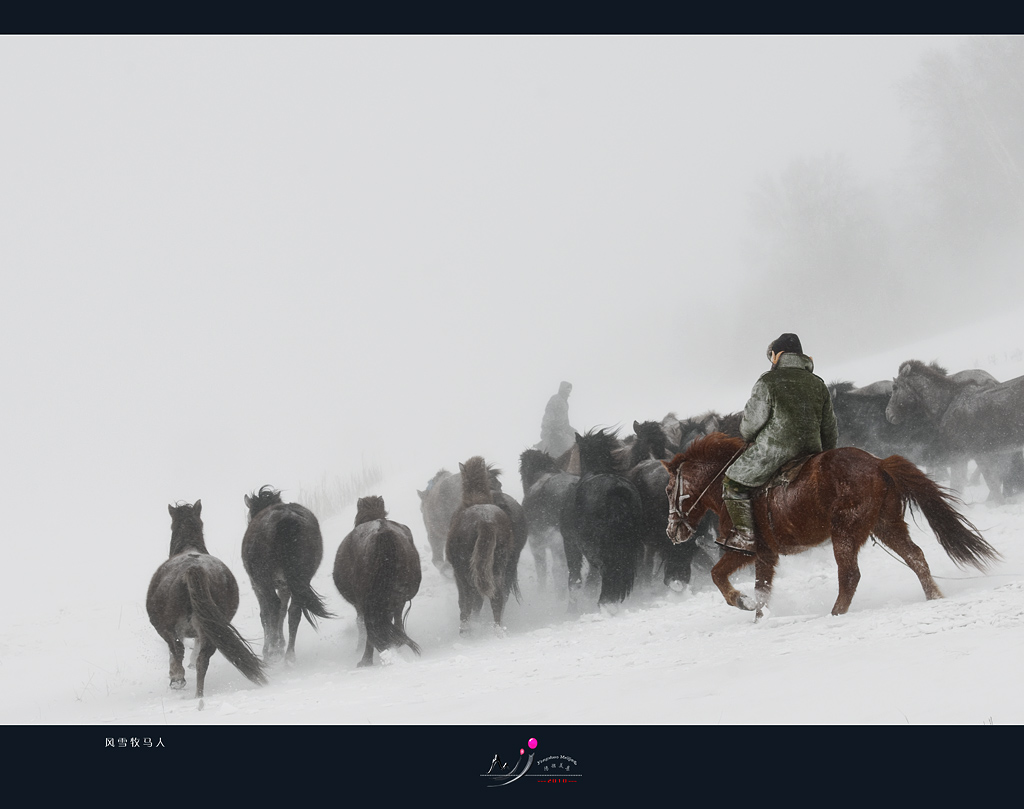 风 雪 牧 马 人 摄影 阳朔美景