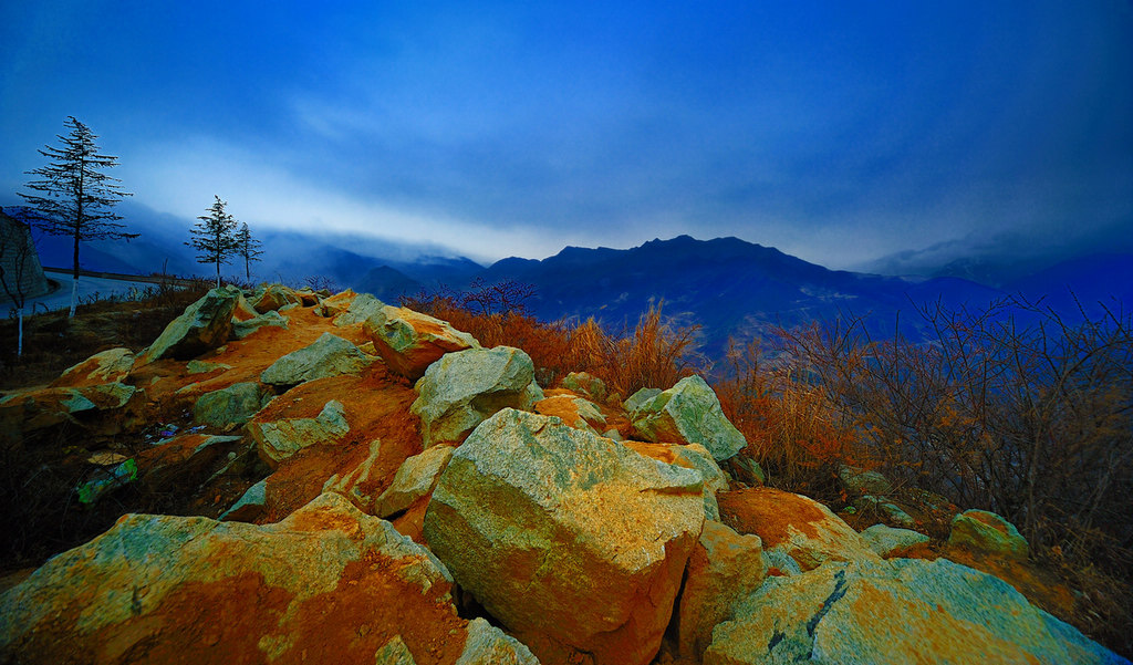 黄昏路边景 摄影 长焦善舞