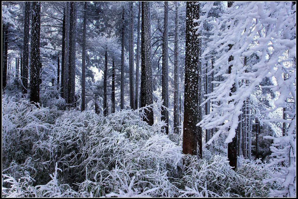 冰雪三清山11 摄影 上饶人家