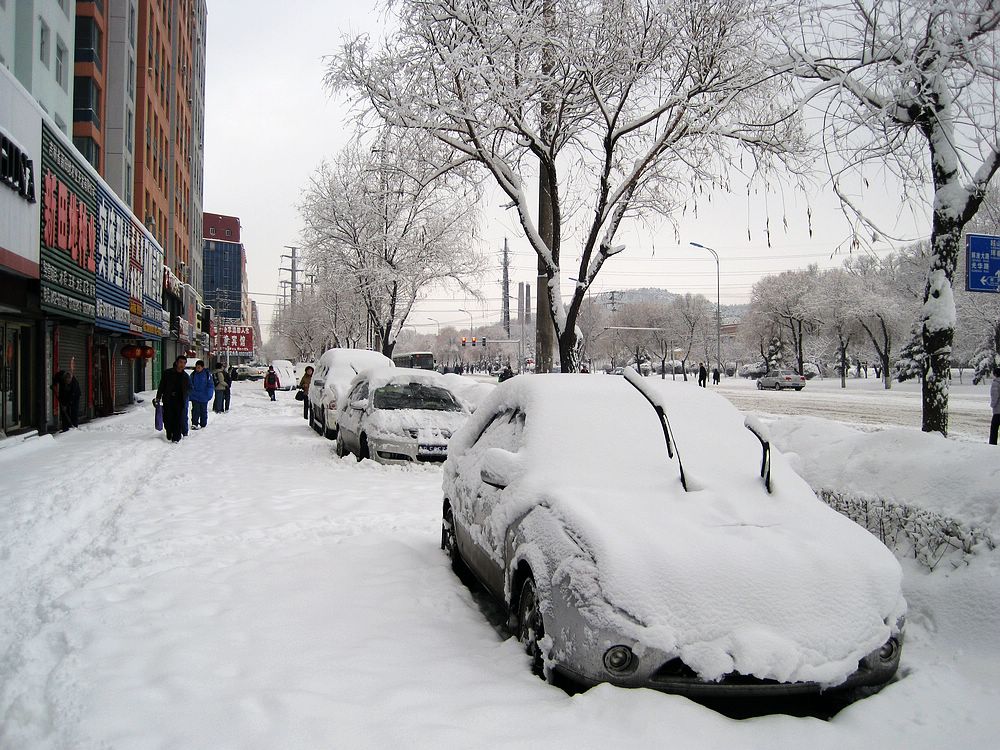 雪色年华（请点击看大图） 摄影 深水无澜