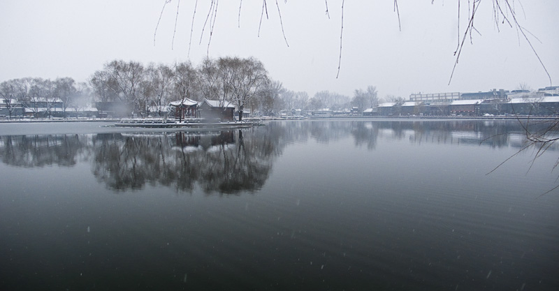 傲雪银霜荣裳在，薄雾隐逸待霄天。 摄影 村长A