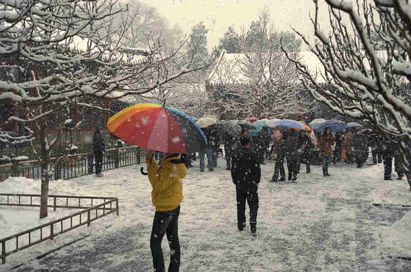 雪中游 摄影 鹰眼穿空