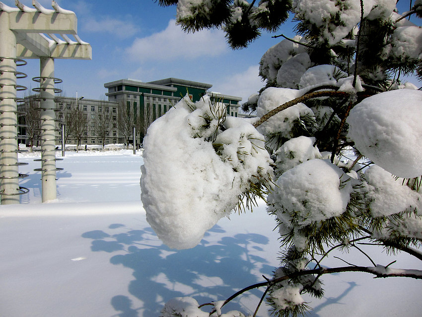 冬雪 摄影 乡下表哥