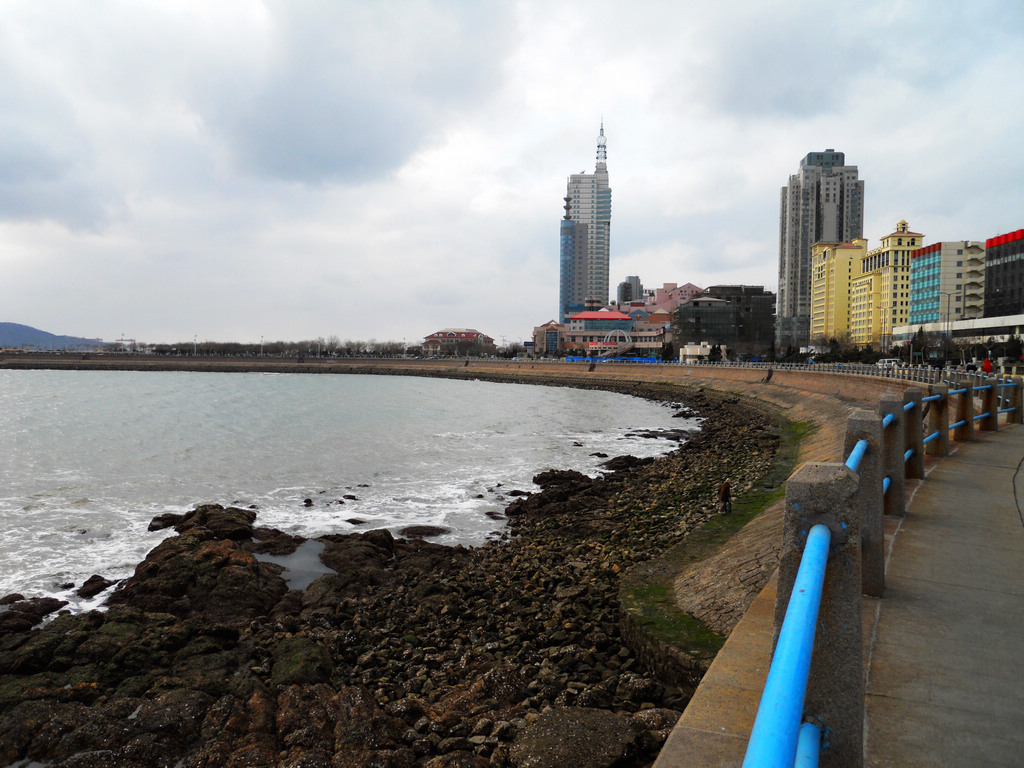 海湾 摄影 海鸥119