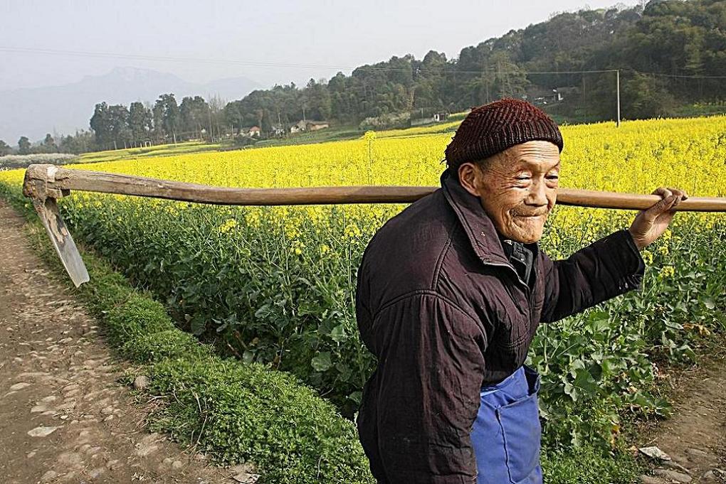 川西老农 摄影 博山