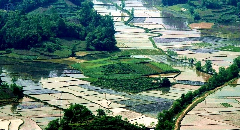 田园 摄影 九里堤