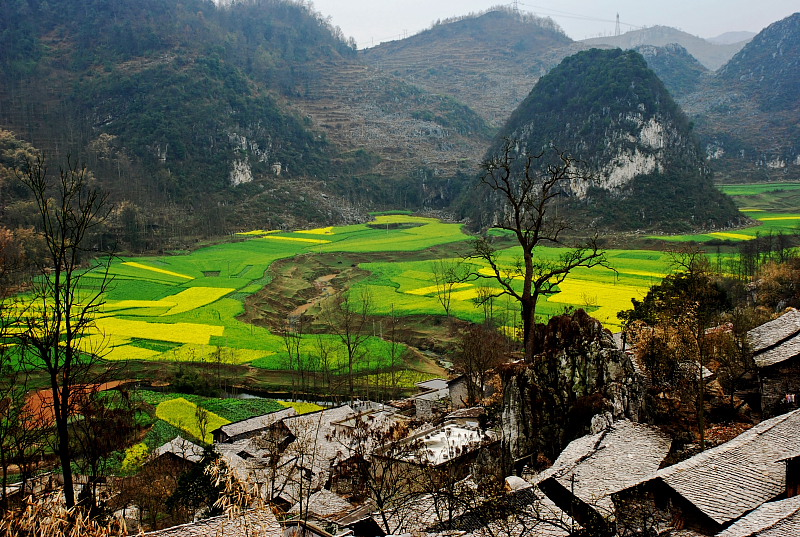 山寨春色 摄影 随心A