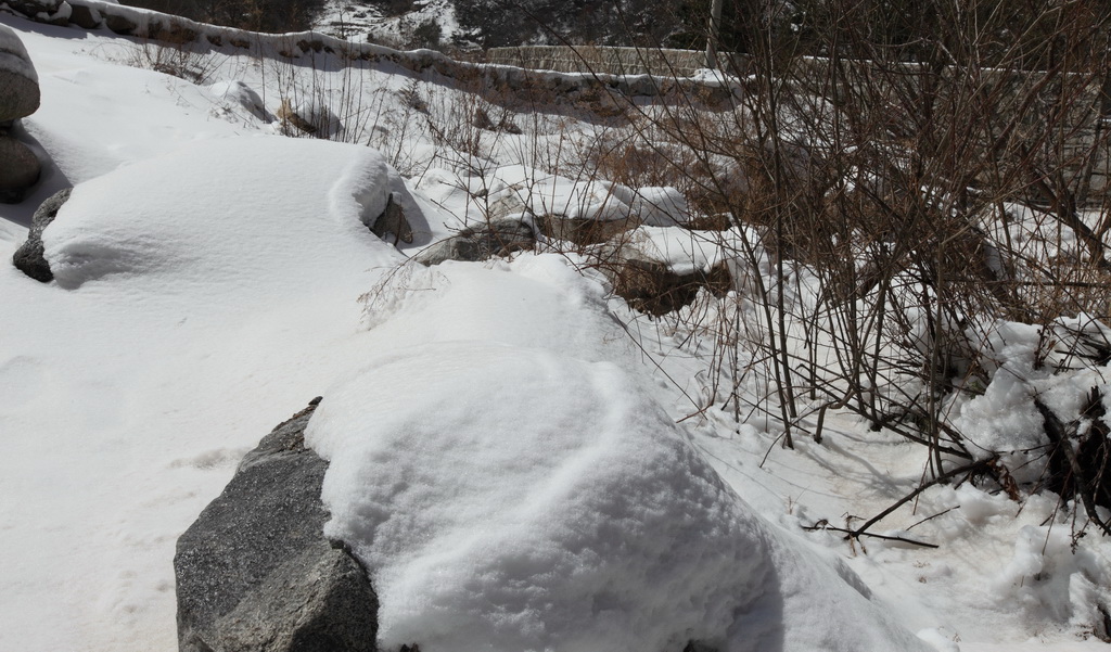 晶莹洁白的雪 摄影 乐言者