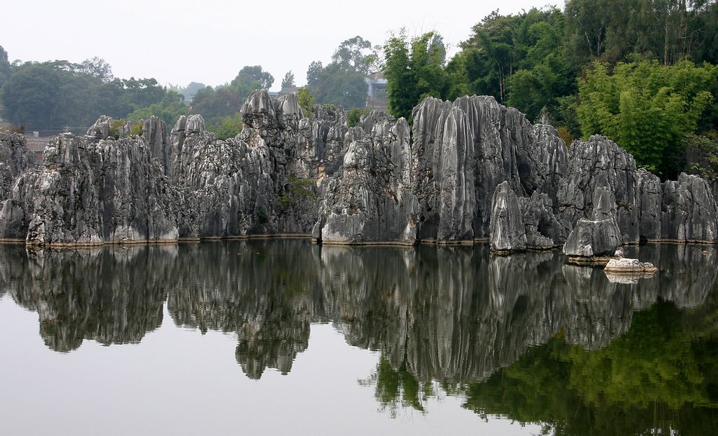 石林风光 摄影 林岩