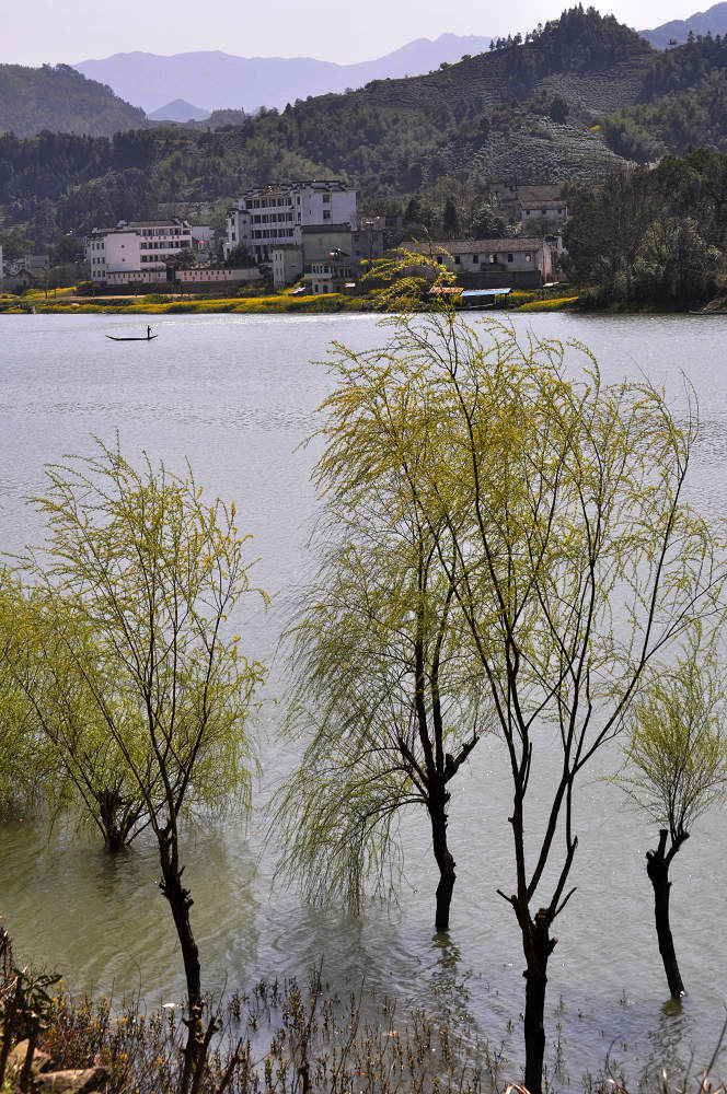 新安江山水画廊 摄影 深水jssz