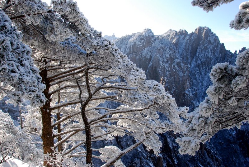 黃山雪景 摄影 难得胡涂