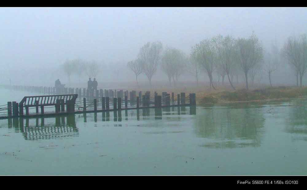 烟雨三月 摄影 狂风