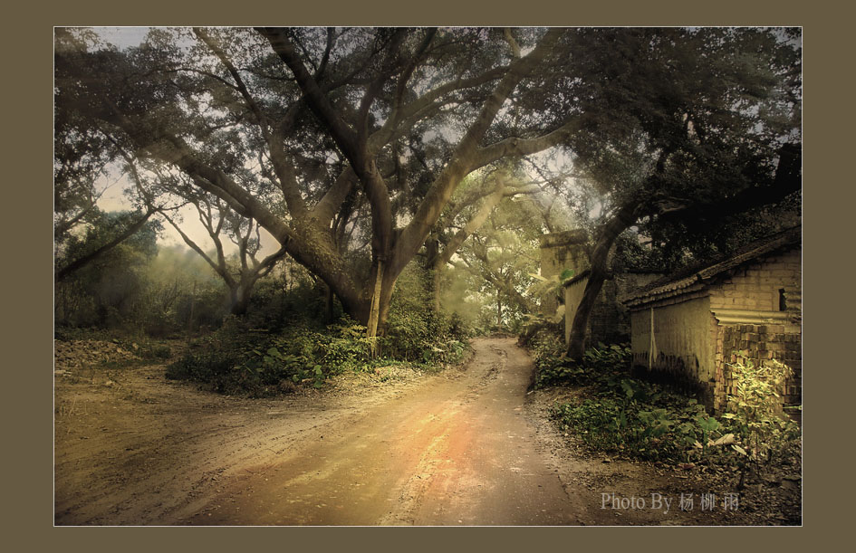 乡间 摄影 楊柳雨