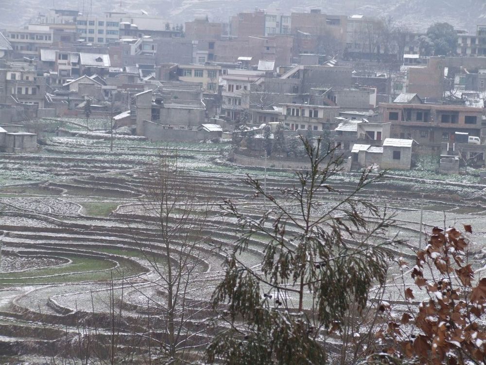 2010年的第一场雪 摄影 阿毛哥