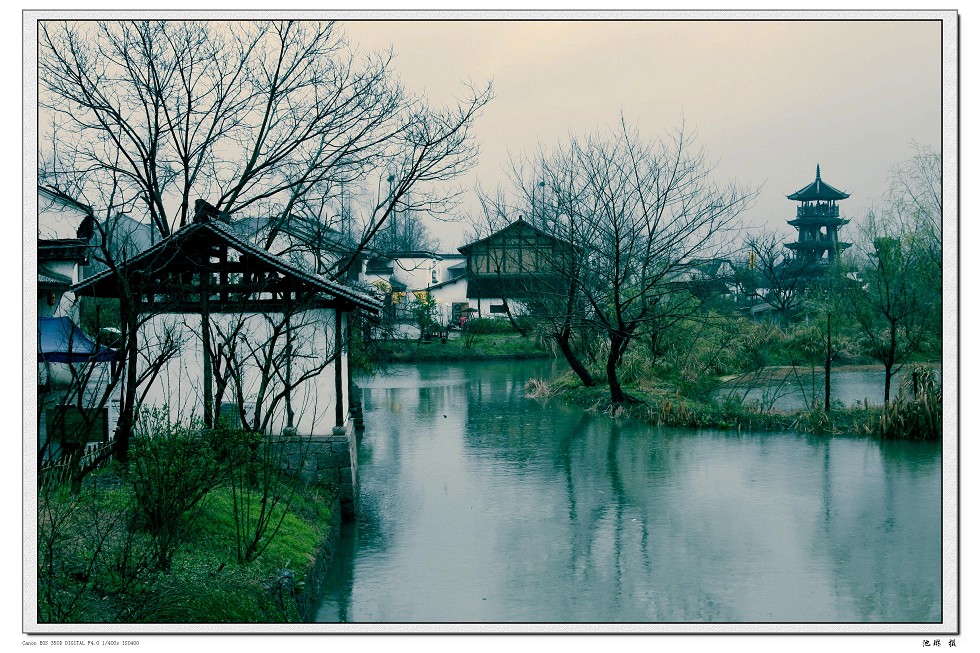 杭州西溪湿地 摄影 茱丽叶