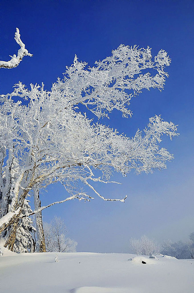 雪乡——羊草山顶 摄影 完达山主