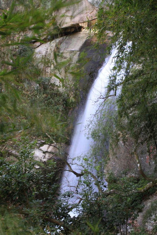 石梁飞瀑4 摄影 滴水冠英花