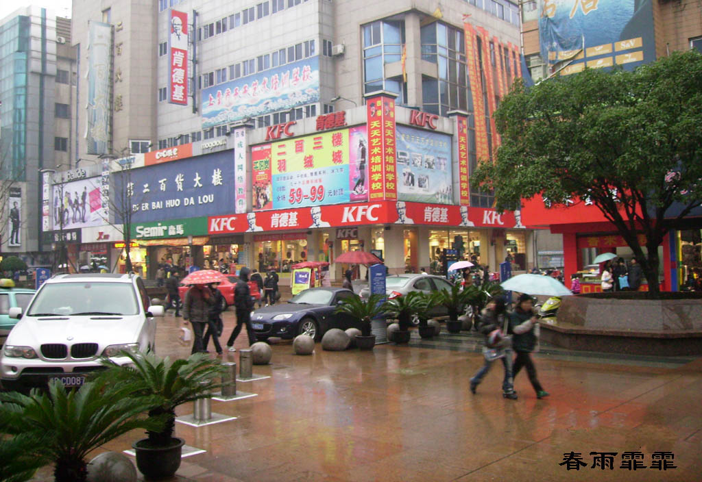 春雨霏霏 摄影 晚景