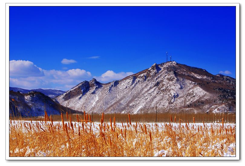 北国风光雪世界 摄影 岳桦