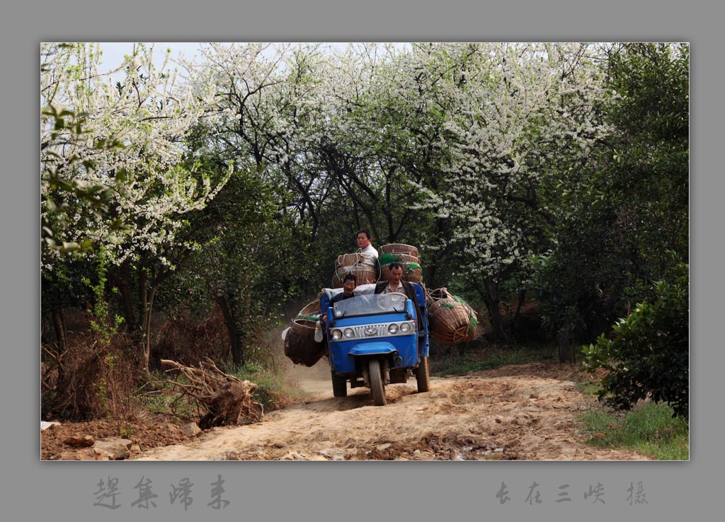 赶集归来 摄影 长在三峡