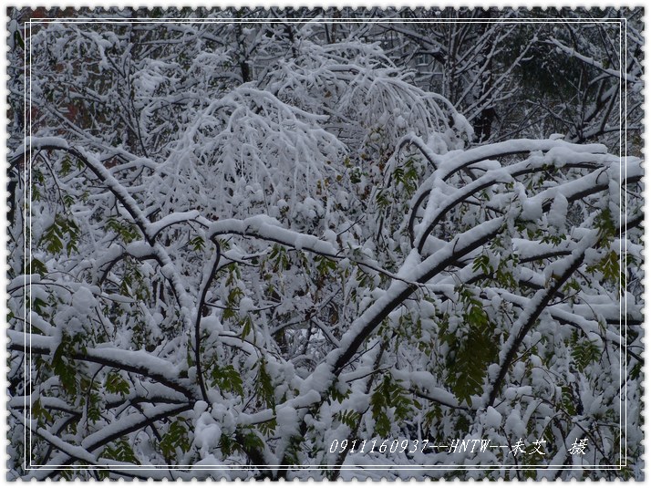 09入冬的一场大雪---1 摄影 云游笑僧