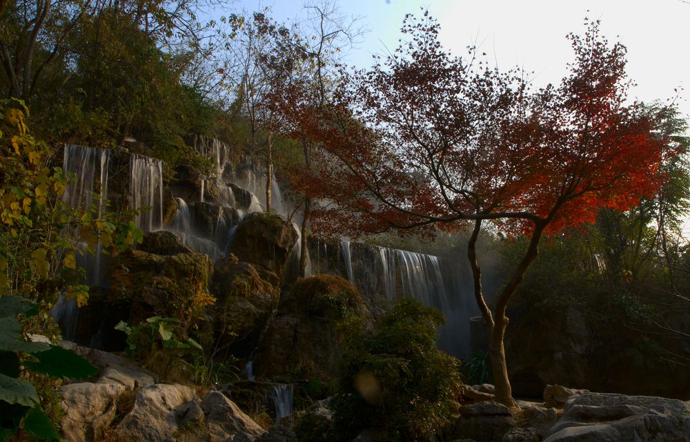 迎山红 摄影 卧龙隐士