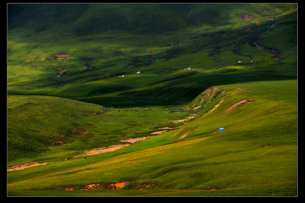 藏域色彩4 摄影 高原风景