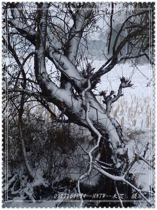 09年入冬的的一场大雪--3 摄影 云游笑僧