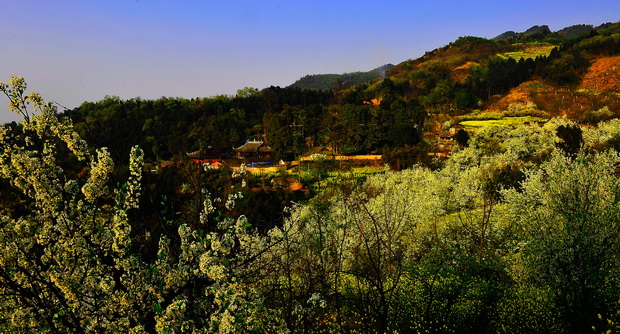 春色锁不住之3---法藏寺 摄影 石峰子