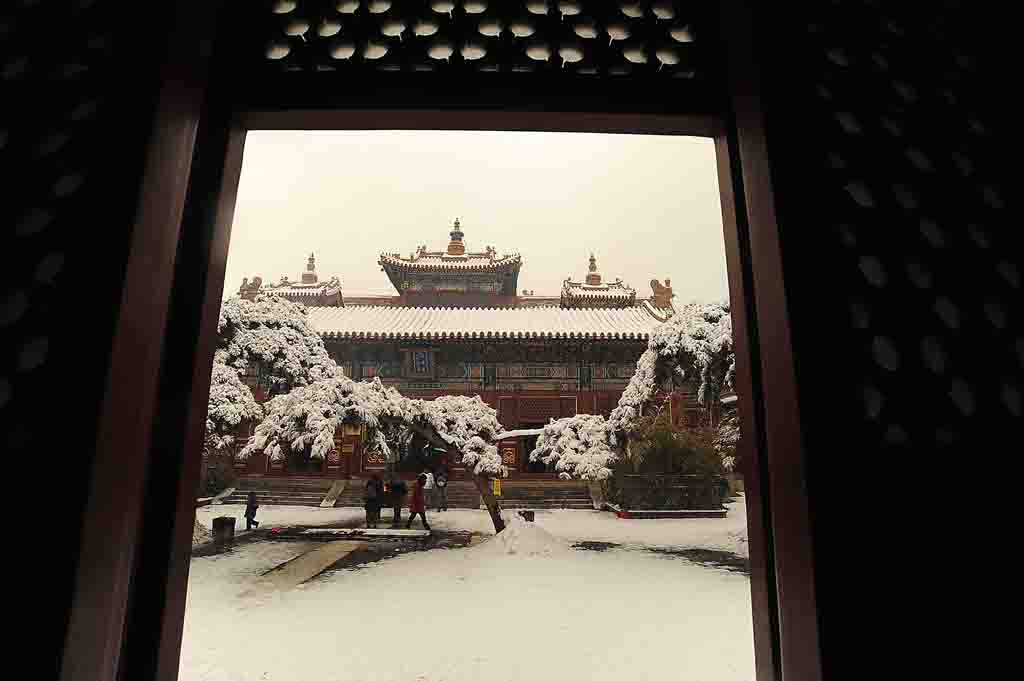 寺院雪景 摄影 9039野战排