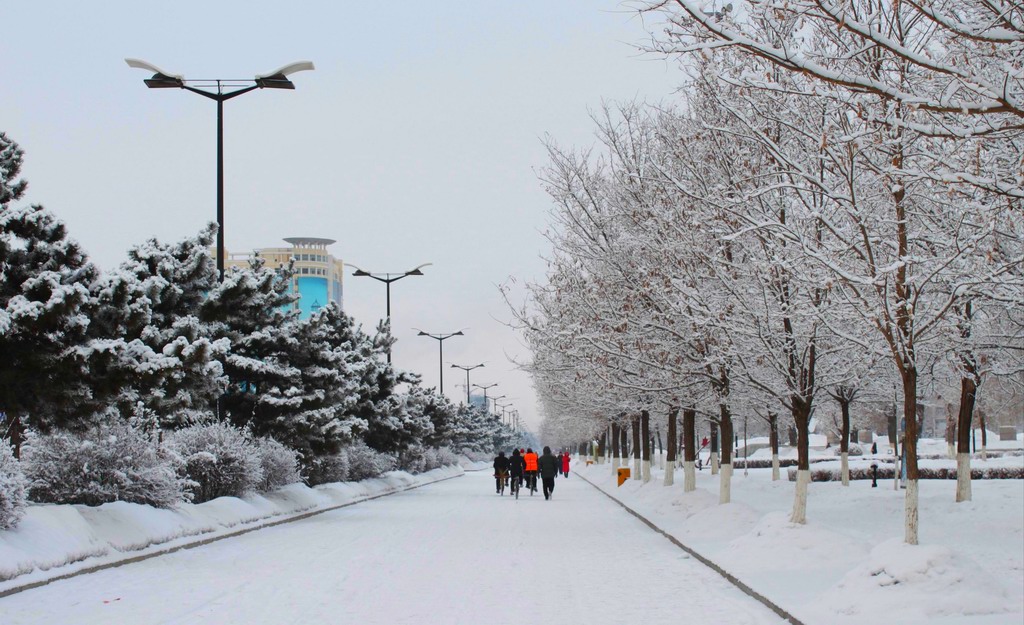 雪景 摄影 付炳权