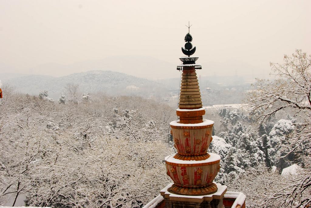 春雪颐和园之十 摄影 芮玛