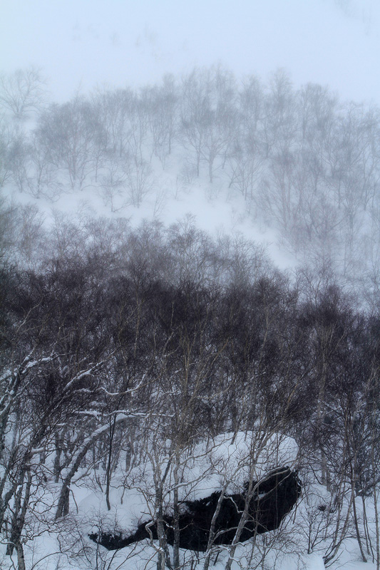 风雪长白山 摄影 庆安渔夫