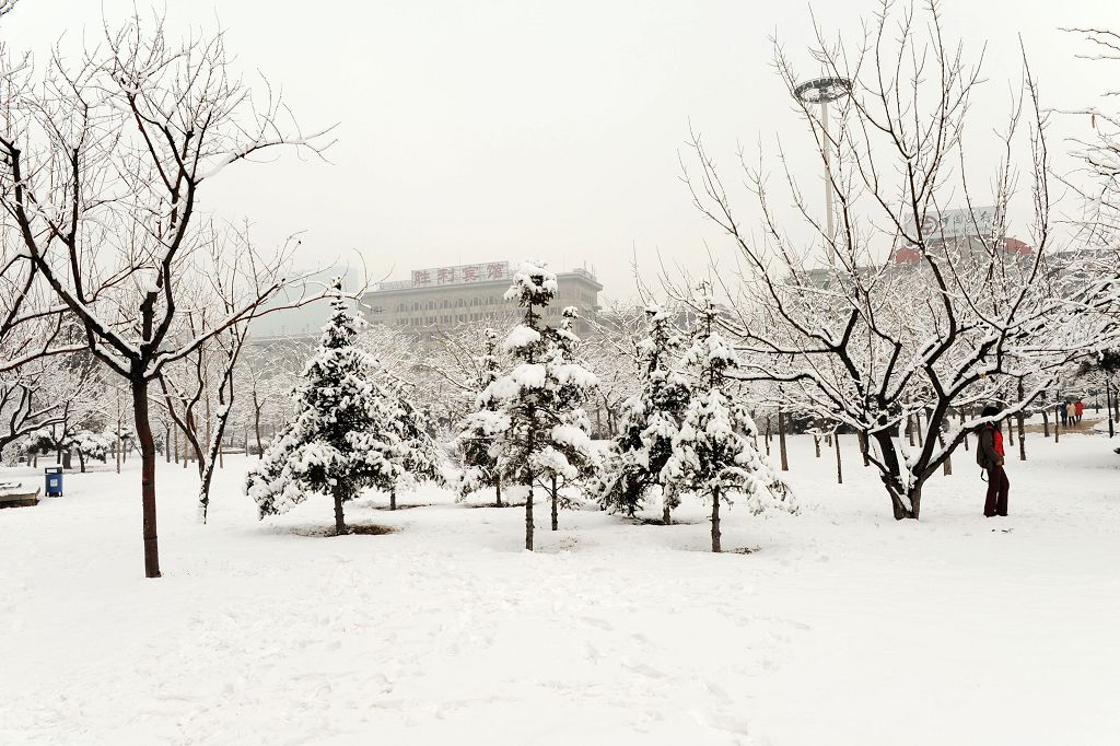 三月雪3 摄影 秋叶雨荷