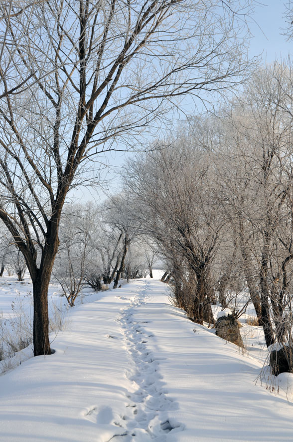 雪路 摄影 三江龙