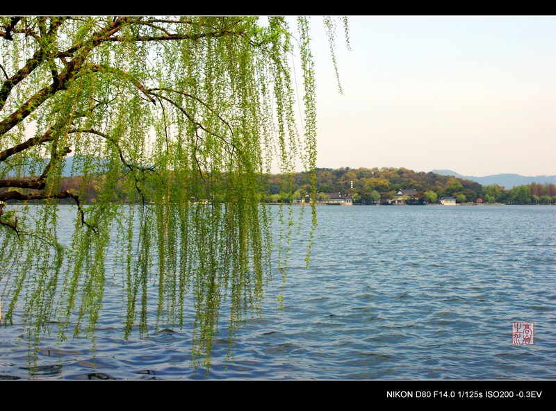 春 摄影 高岩之水