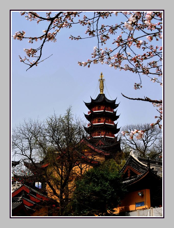 早春二月6·鸡鸣寺 摄影 梅里雪山