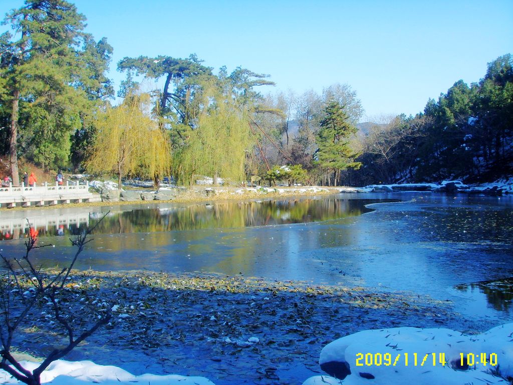 北京香山公园 摄影 冬日恋哥