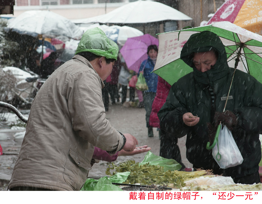 雪中即景 摄影 我的尼玛