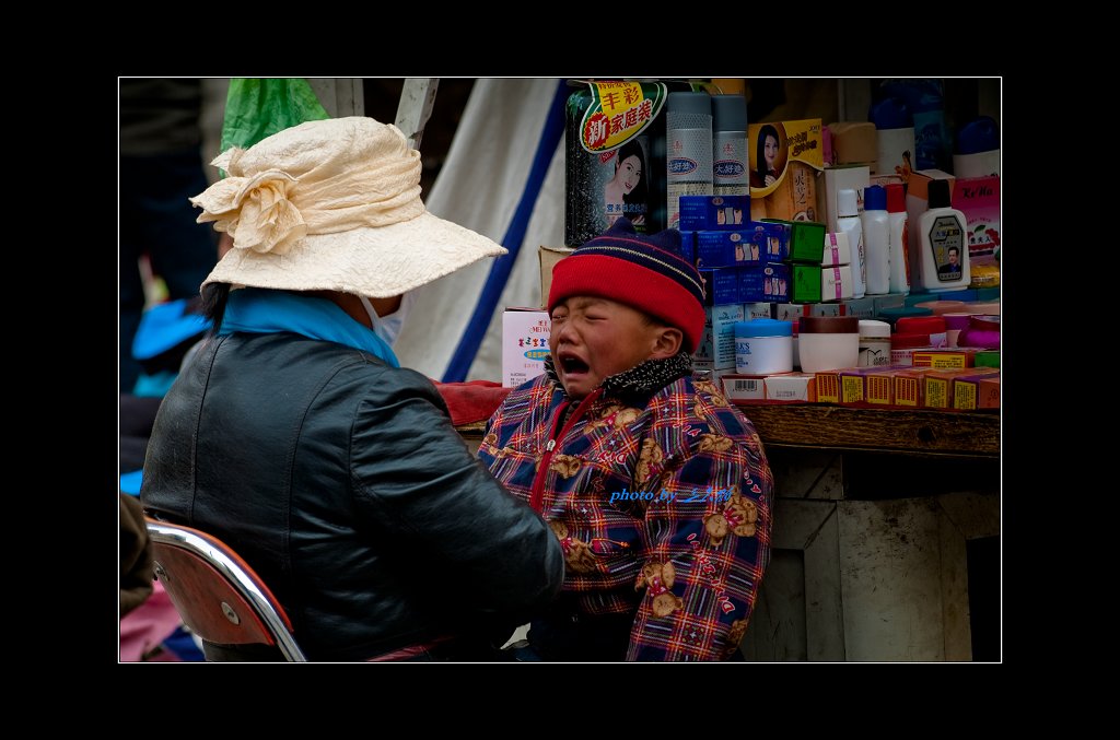 哇...哇... 摄影 三只猫