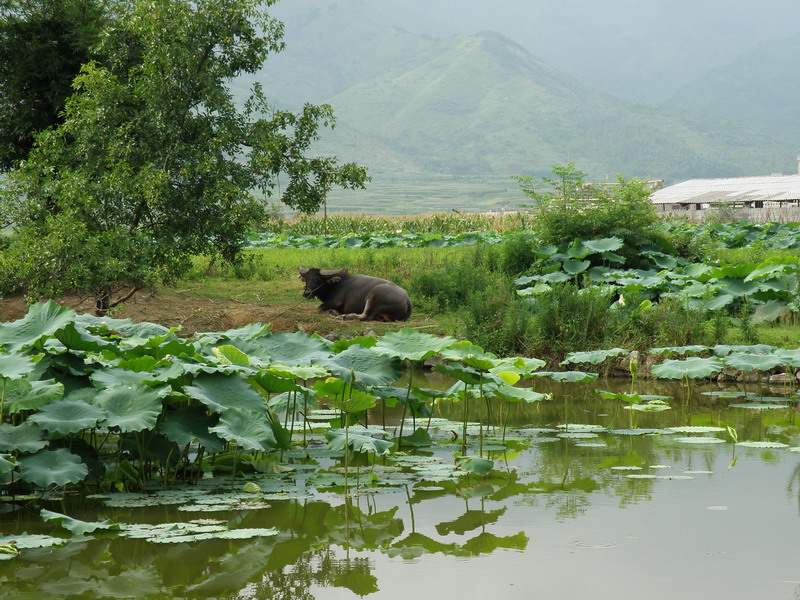 小憩 摄影 zyzliuzhou