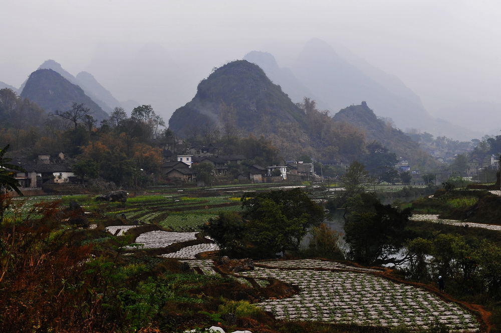 美丽的多依河 摄影 石峰子