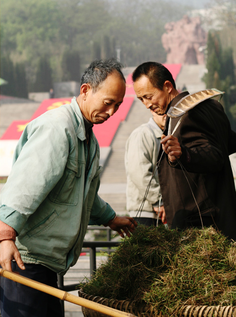 除草工人 摄影 走过苍凉