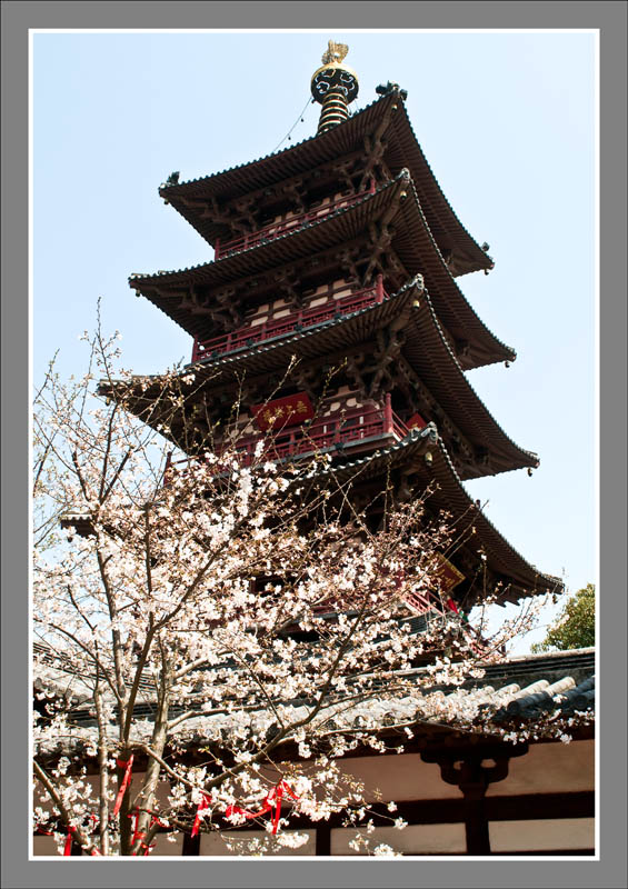 春临寒山寺2 摄影 小藏驹